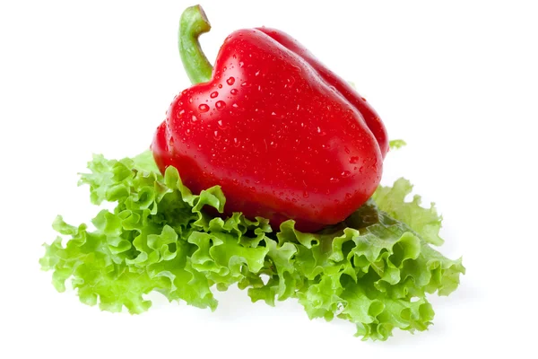 Poivron rouge sur la feuille de la salade — Photo