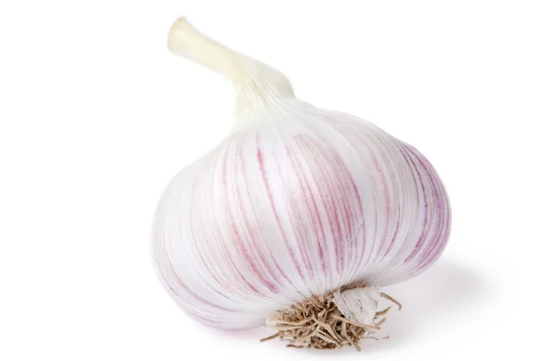 stock image Head of the garlic