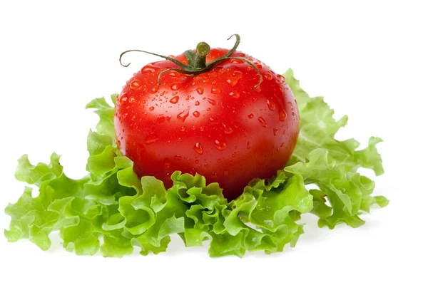 Tomate rouge juteuse avec lithographie de la salade — Photo