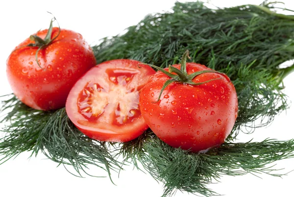 Tomates juteuses sur le bouquet d'aneth — Photo