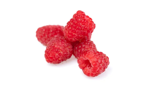 stock image Raspberry