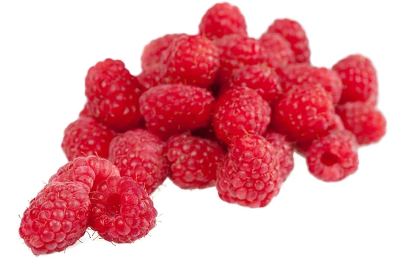 stock image Raspberry