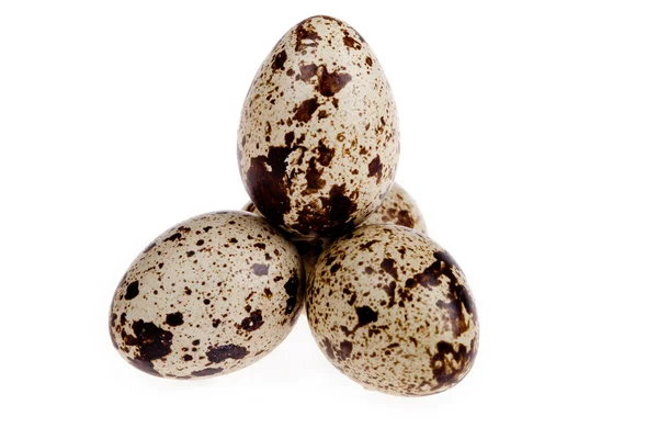 Quail egg — Stock Photo, Image