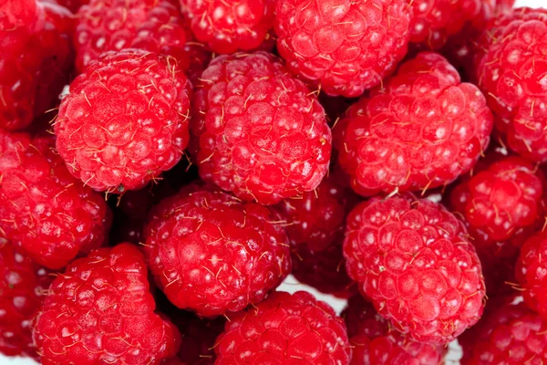 stock image Raspberry