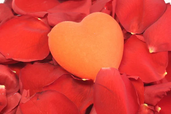 Czerwone serce jest w płatki czerwonych róż — Zdjęcie stockowe