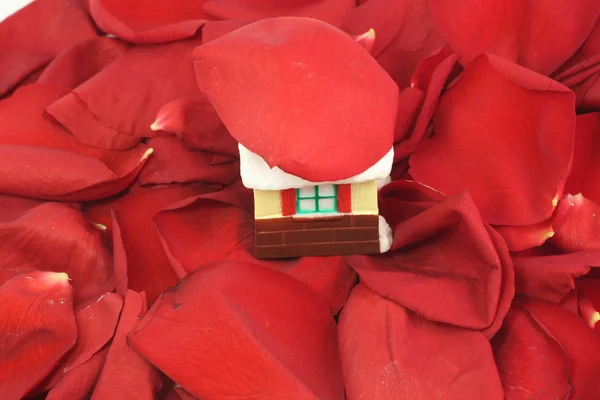 Dům stojí na lístky červené růže — Stock fotografie