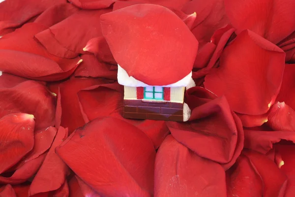 Σπίτι του στέκεται στα πέταλα των κόκκινα τριαντάφυλλα — Φωτογραφία Αρχείου