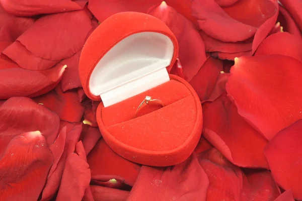 Caixa com um anel de casamento de ouro Imagem De Stock