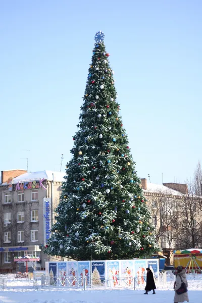 stock image Christmas tree