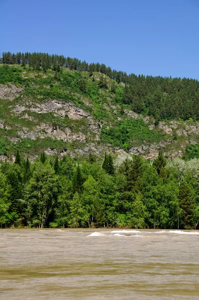 O rio nas montanhas no verão. Um panorama . — Fotografia de Stock