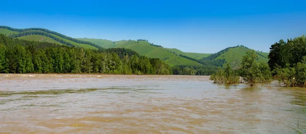 Ο ποταμός στα βουνά το καλοκαίρι. ένα πανόραμα. — Φωτογραφία Αρχείου