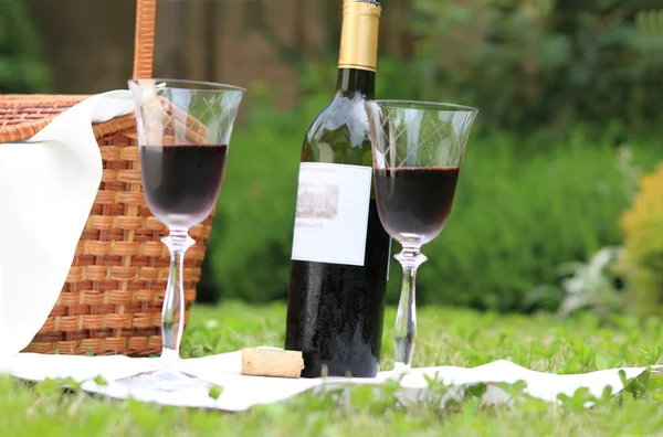 Piknik s vínem — Stock fotografie