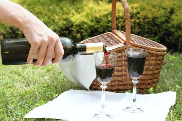 Picnic con vino — Foto de Stock
