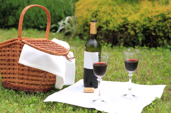 Picnic with wine — Stock Photo, Image