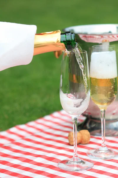 stock image Champagne in glasses