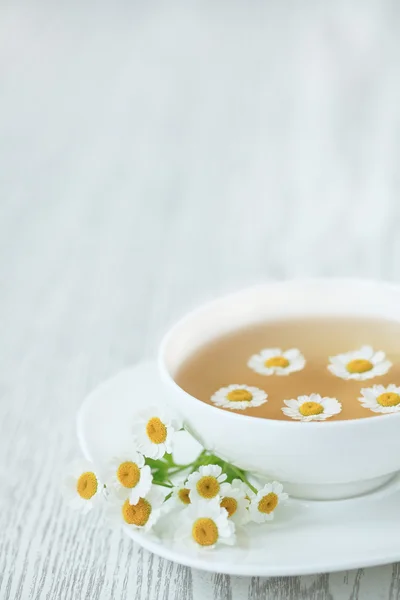Чашка чая с ромашкой — стоковое фото
