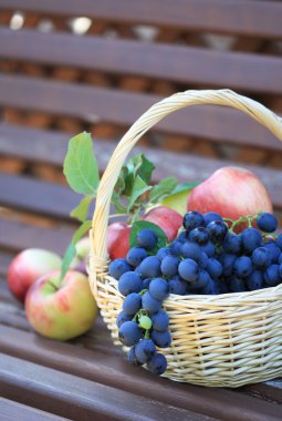 Basket with fruits clipart