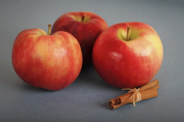 Дерево красные яблоки и корица — стоковое фото