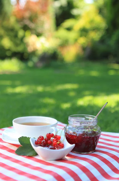 Red currant jam and tea in the garden — Stock Photo, Image