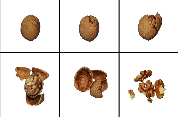 Chopped nuts — Stock Photo, Image