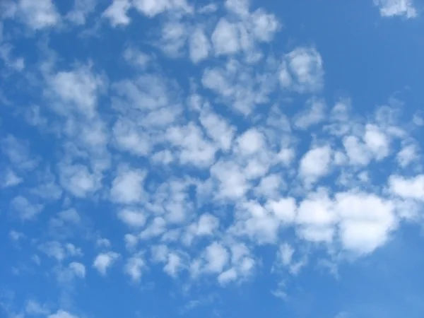 초록 하늘 배경 — 스톡 사진