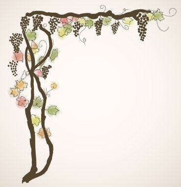 Background with vine clipart