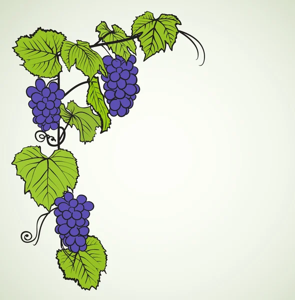Фон з винограду — стоковий вектор