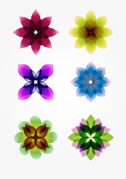 6 design elements (flowers) — Stock Vector