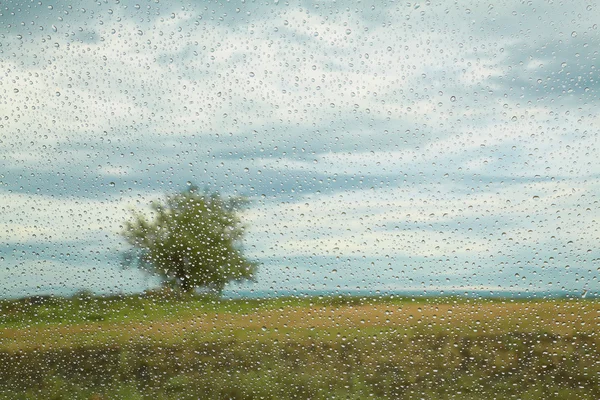 Σταγόνες βροχής σε παράθυρο Εικόνα Αρχείου