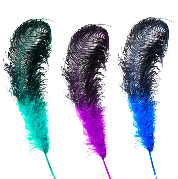 Set of bright ostrich's feathers — Stock Photo, Image