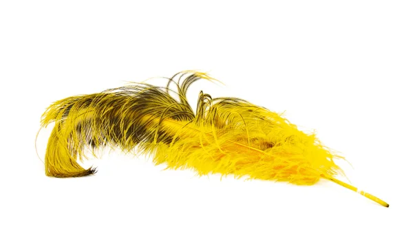 Ярко-жёлтое перо страуса — стоковое фото
