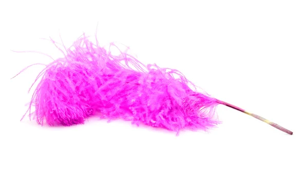Bright pink ostrich's feather — Stock Photo, Image