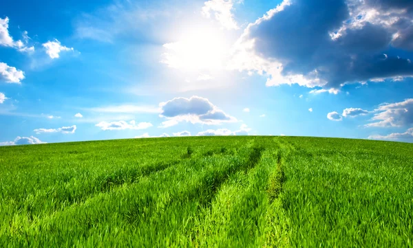 農村風景牧草地と空 — ストック写真