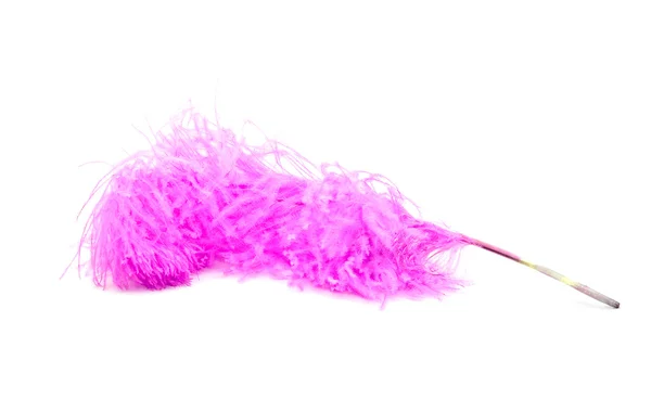 Φωτεινά ροζ στρουθοκαμήλου φτερά — Φωτογραφία Αρχείου