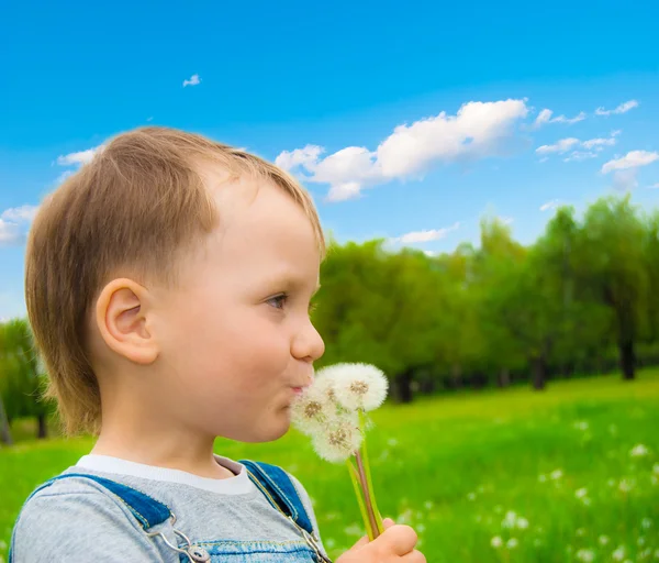 The boy with a dandelions — Stock Photo, Image