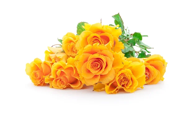 Strauß von orangen Rosen — Stockfoto