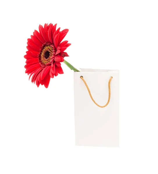 Weiße Geschenkverpackung mit einer roten Blume — Stockfoto
