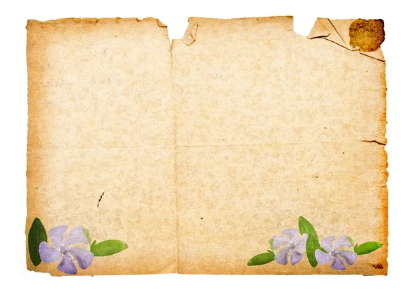 Hintergrund mit Zeichnung aus Blumen — Stockfoto