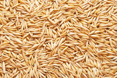 Background from mature grains clipart