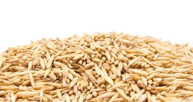 Background from mature grains clipart