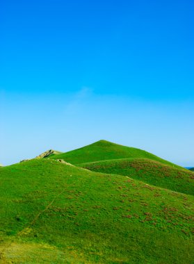bir yeşil çim kaplı tepeler