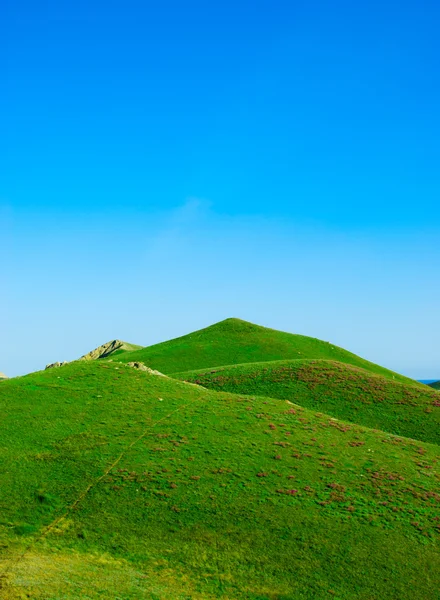 stock image Hills covered with a green grass