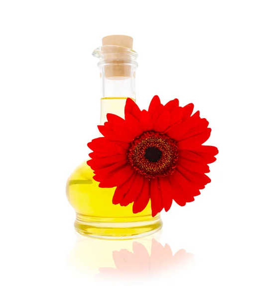 Jug with vegetable oil with a red gerberas — Stock Photo, Image
