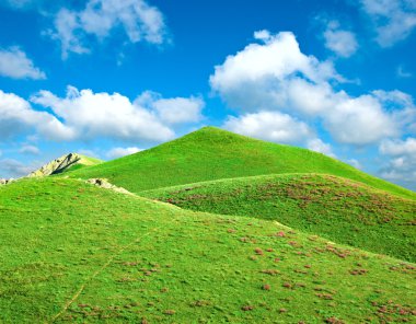 Hills covered with a green grass clipart