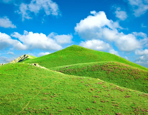 山上覆盖着绿草 — 图库照片