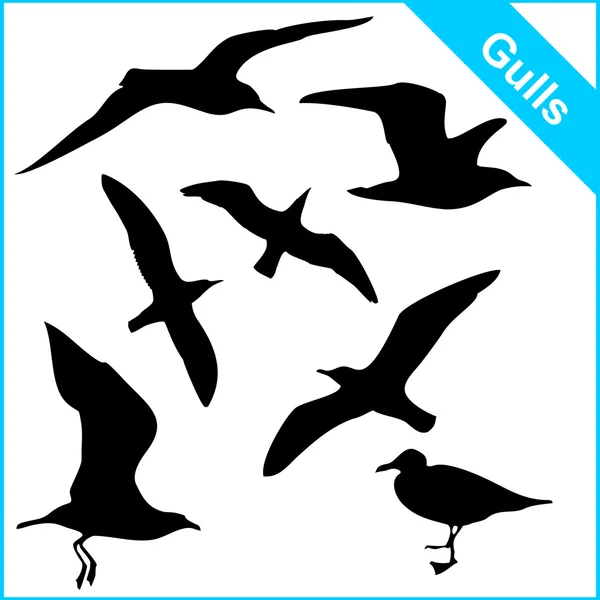 Siluetas vectoriales de gaviotas marinas en varias poses — Vector de stock