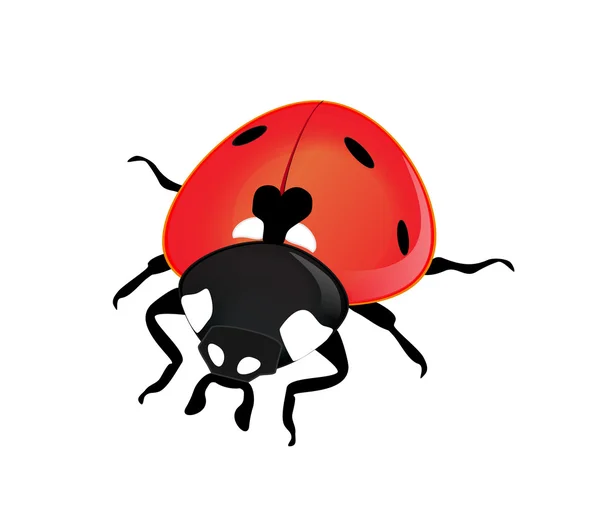 Vector ladybird on a white background — Stock Vector