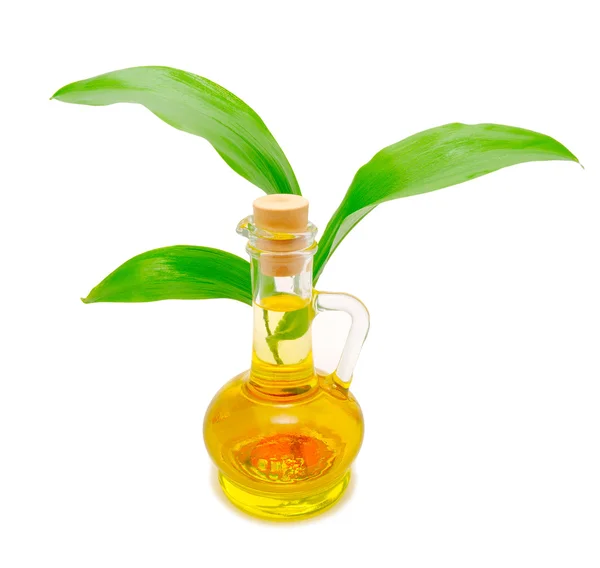 Fles met plantaardige olie en een groene spruit achter — Stockfoto