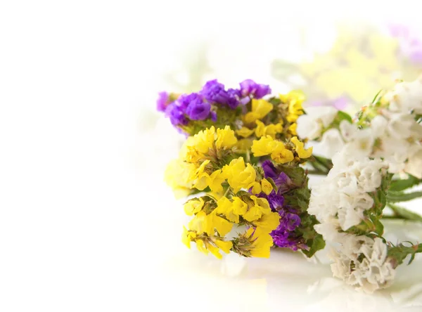 Flores silvestres multicolores sobre un fondo blanco —  Fotos de Stock