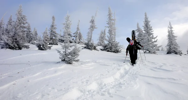 Een groep snowboarders wandelen — Stockfoto